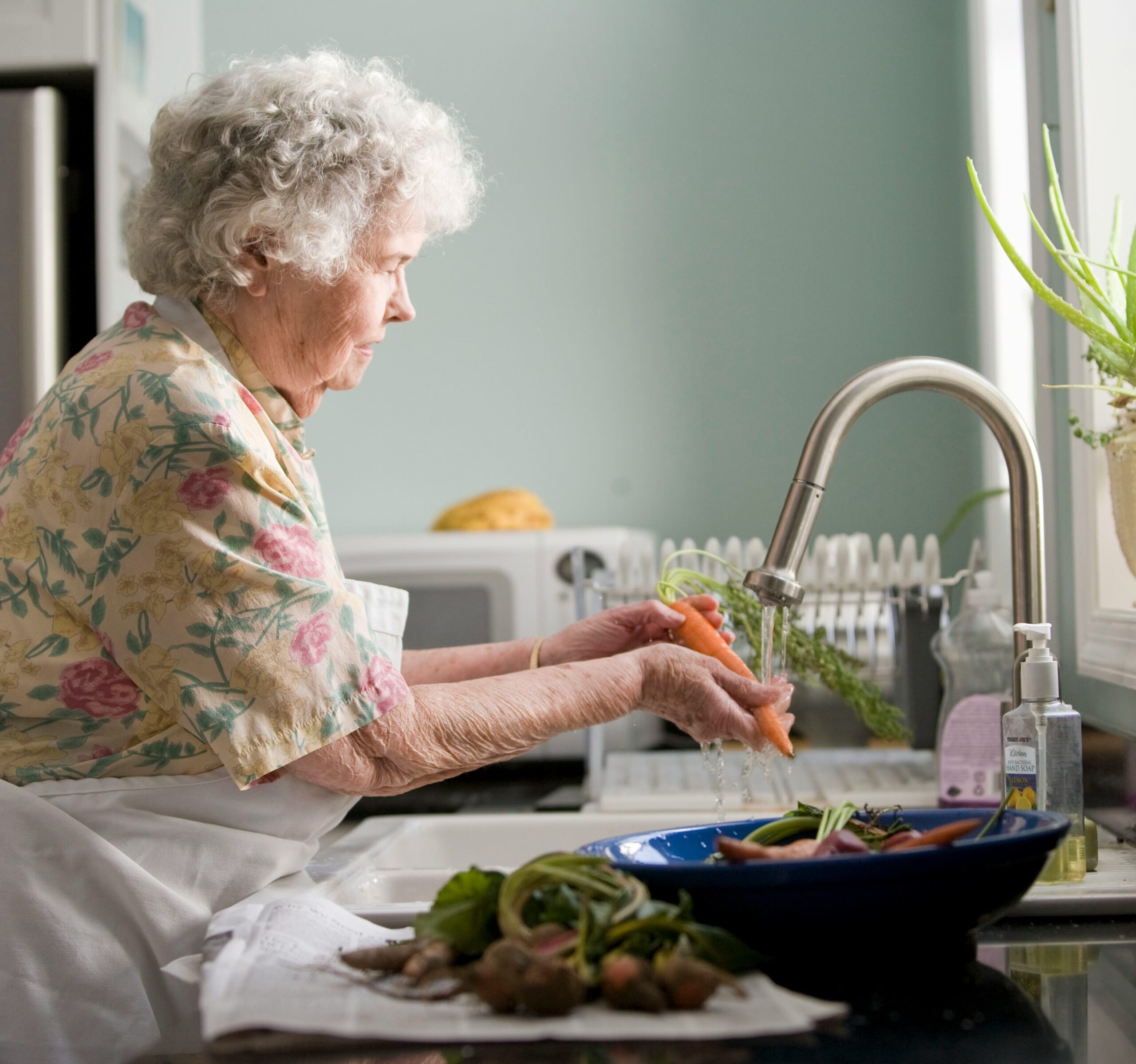complices-de-vie-aide-soignante-domicile-senior-perpignan-salanque-66
